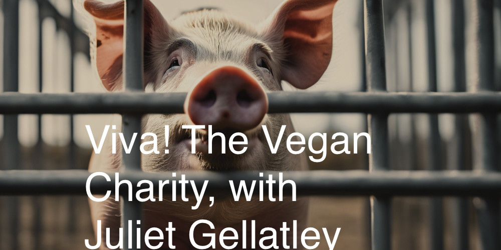 viva the vegan charity